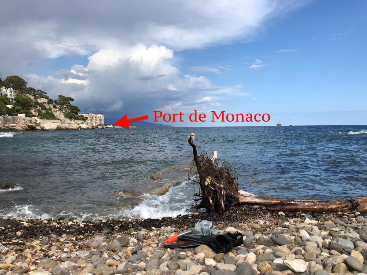 Viangella - Dramatic Sea View! Top Floor 2Km To Monaco Cap-d'Ail Bagian luar foto